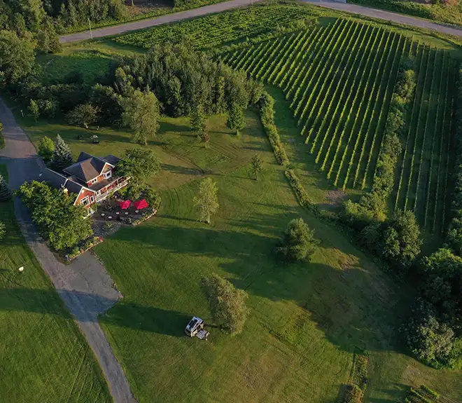 vignoble-clos-isle-becancour-vue-aerienne-vignes-maison Vue aérienne du Domaine du Clos de l’Isle à Bécancour avec la maison du vignoble et les rangées de vignes