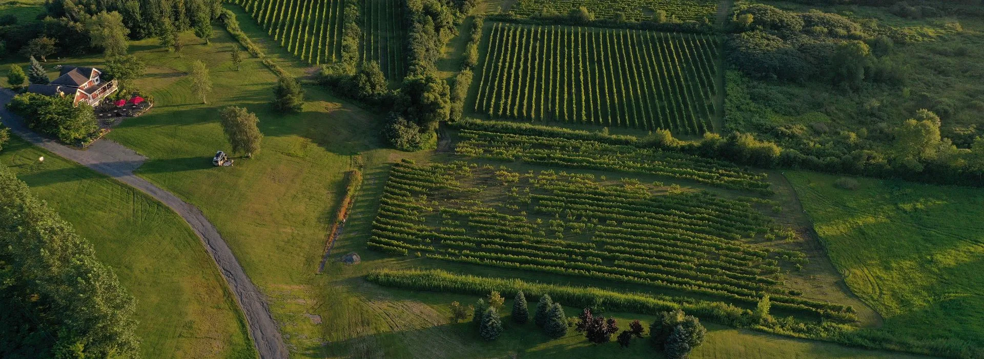 Vue aérienne du Domaine du Clos de l’Isle à Bécancour avec la maison du vignoble, les vignes et un campeur stationné sur le terrain, près de Trois-Rivières